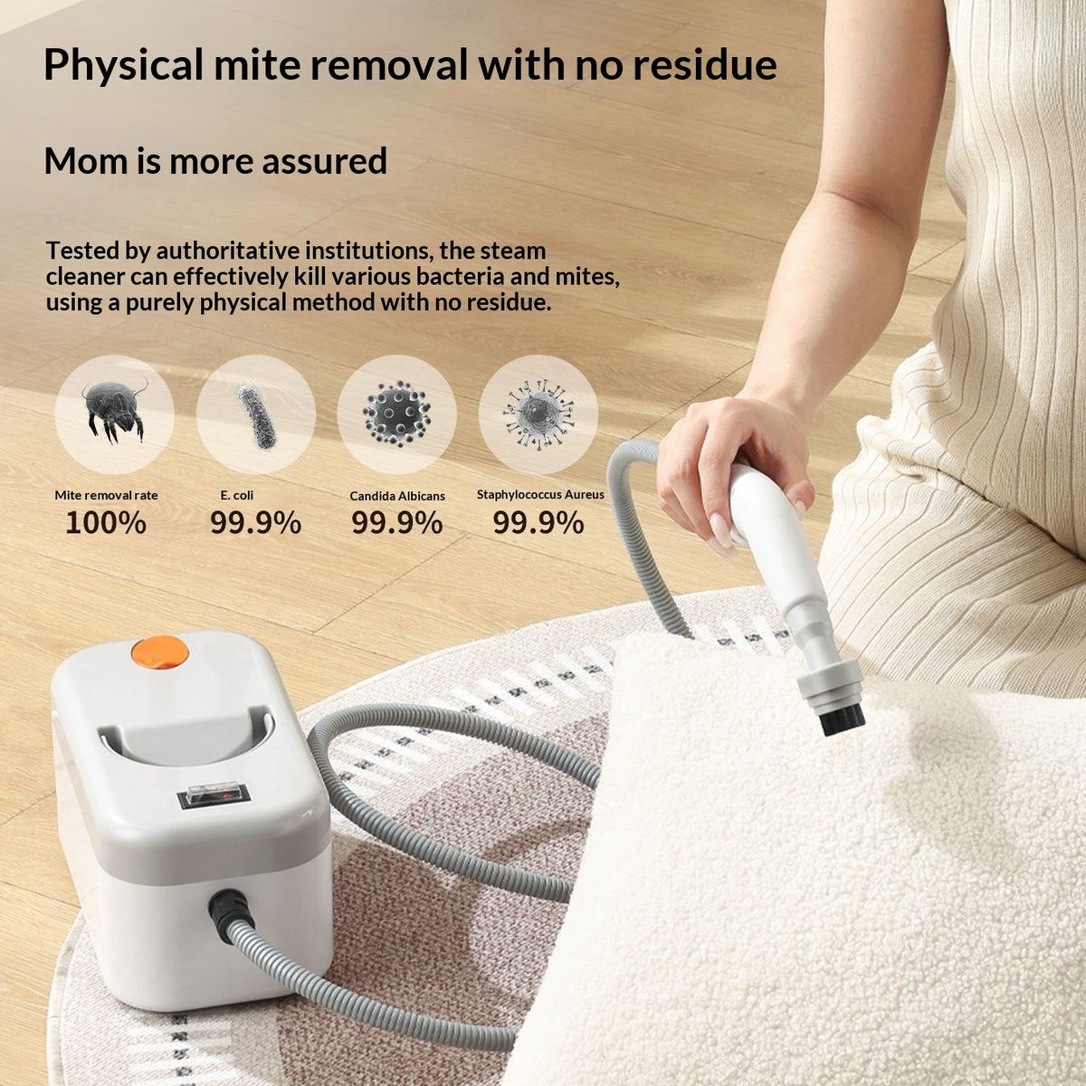 PowerBlast Pro Handheld Steam Cleaner product image